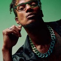 Lunettes optiques Parasite, par OPTO Design, opticien à Nantes