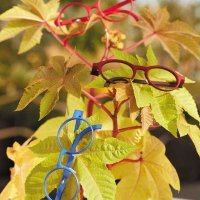 Nogs Optic, lunettes sur-mesure et responsables